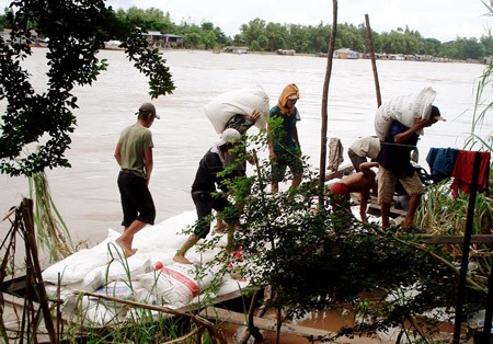 Sugar being smuggled into Vietnam near Khanh Binh Border Gate in the Mekong Delta province of An Giang (File Photo: SGGP) Sugar being smuggled into Vietnam near Khanh Binh Border Gate in the Mekong Delta province of An Giang (File Photo: SGGP)